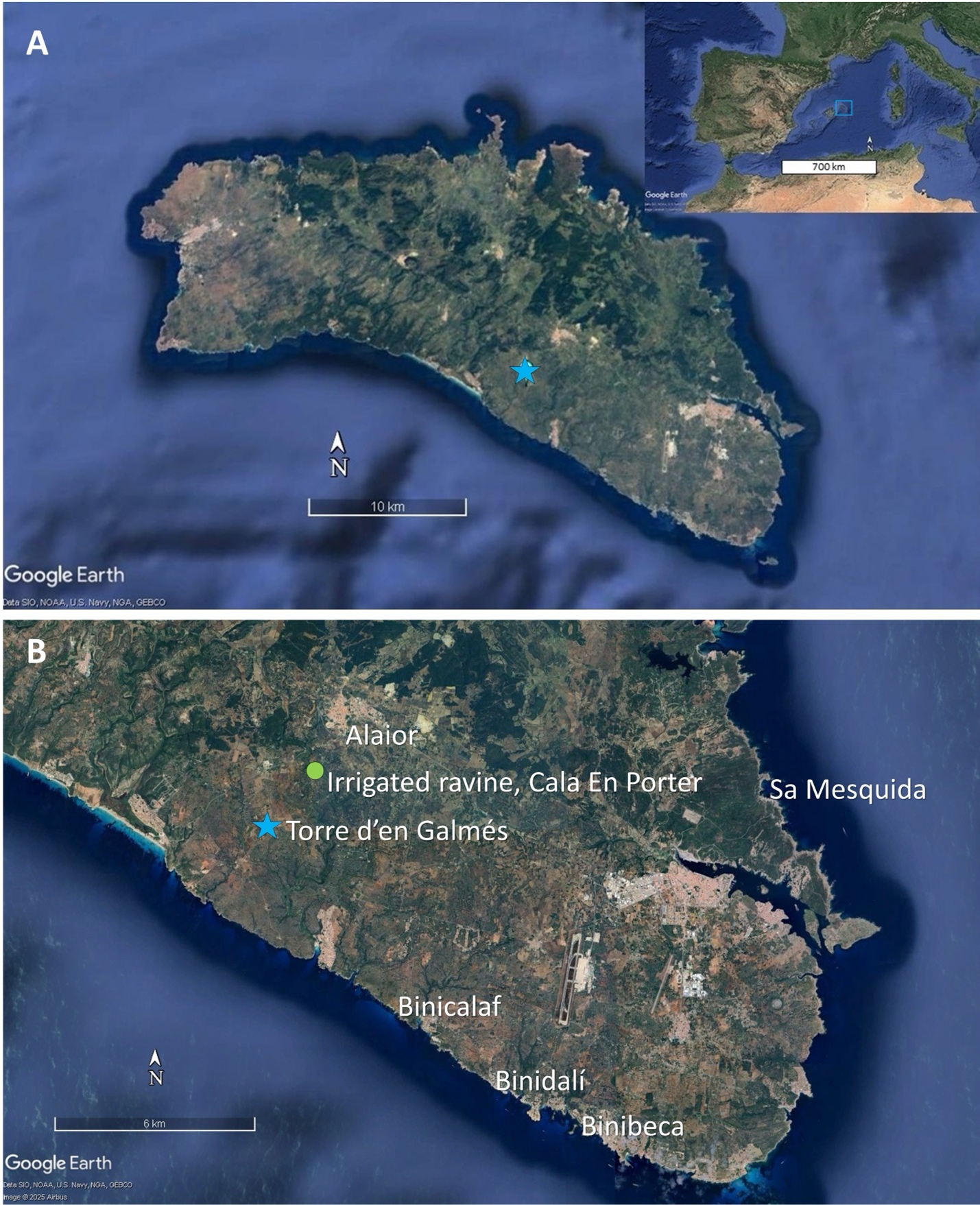 A map of the island

AI-generated content may be incorrect.