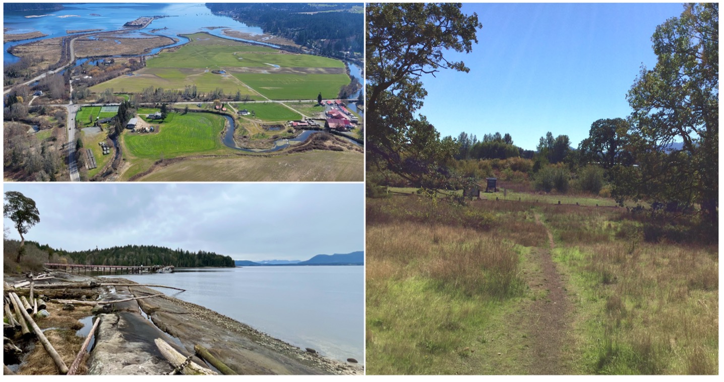 A collage of land and water

AI-generated content may be incorrect.